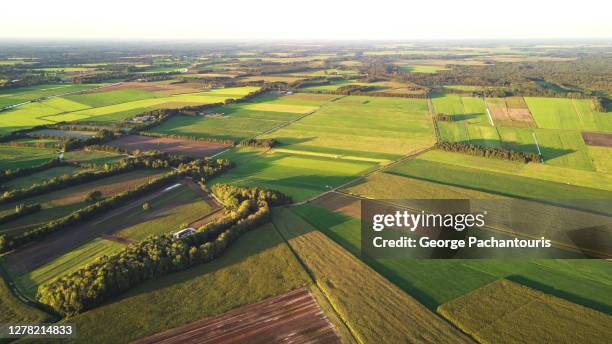 aerial view of green agricultural fields - landbouwgrond stockfoto's en -beelden