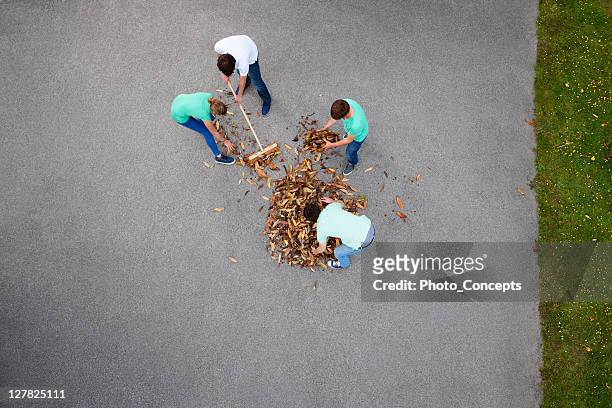 people raking leaves - 掃地 個照片及圖片檔