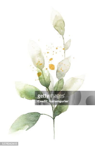 grün und blatt blatt aquarell bouquet - watercolor flower stock-grafiken, -clipart, -cartoons und -symbole