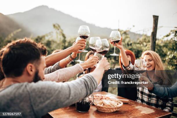 vrienden die met rode wijn roosteren bij de picknick - red wine stockfoto's en -beelden