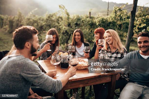 freunde toasten mit rotwein beim picknick - wine tasting stock-fotos und bilder