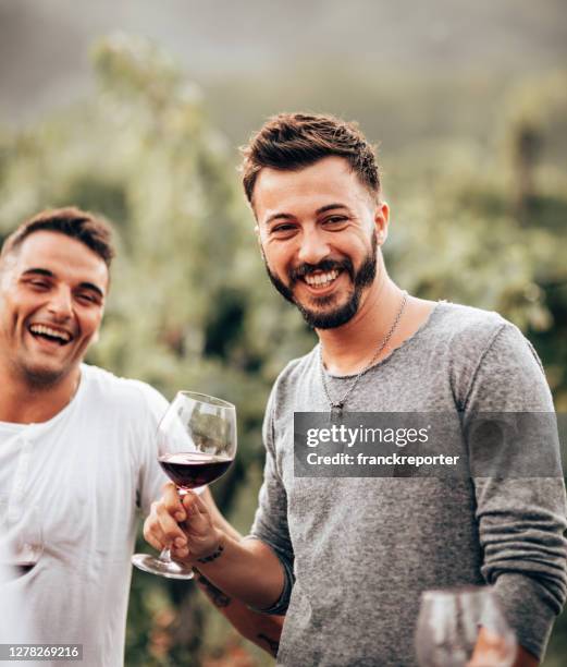 homosexuell toasting zusammen in einer weinprobe - italienischer abstammung stock-fotos und bilder
