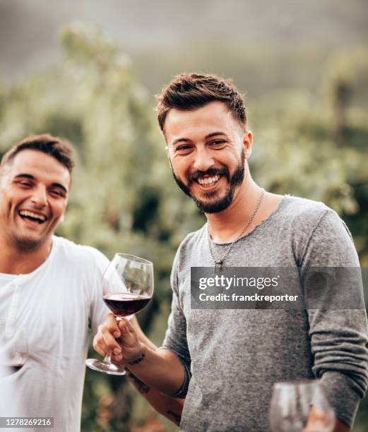 brindisi gay insieme in una degustazione di vini - men drinking wine foto e immagini stock