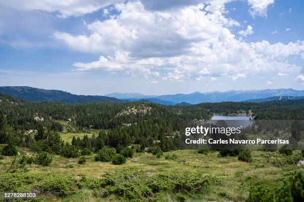 alpine landscape with a lake surrounded by hills and mountain peaks in the background. french pyrenees in font romeu - wilderness font stock pictures, royalty-free photos & images