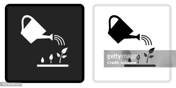 bewässerung pflanzen icon auf schwarzem knopf mit weißen rollover - gießkanne stock-grafiken, -clipart, -cartoons und -symbole