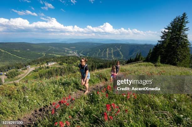 senderismo familiar en las montañas con flores silvestres - kamloops fotografías e imágenes de stock