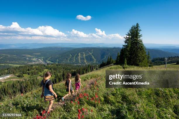 senderismo familiar en las montañas con flores silvestres - kamloops fotografías e imágenes de stock