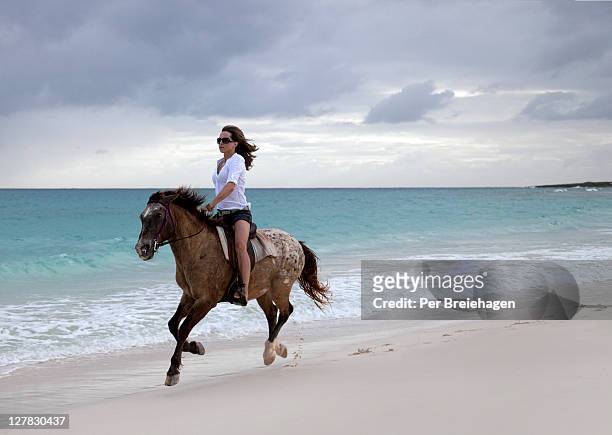 woman riding a horse on a tropical beach - anguilla photos et images de collection