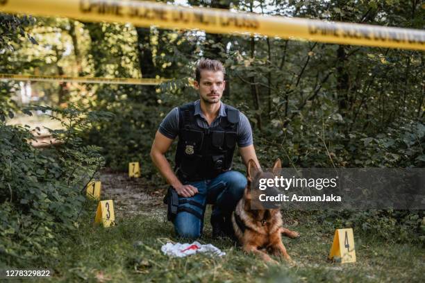 alarm deutscher schäferhund und junger männlicher offizier am tatort - police dog stock-fotos und bilder