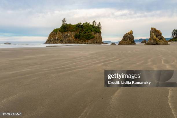 ruby beach - olympic national park stockfoto's en -beelden