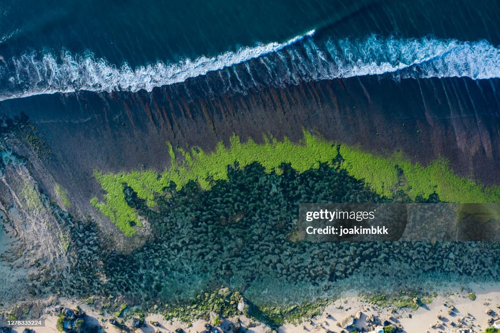 Abstracte kustlijnmening door drone met golvenrotsen en algen