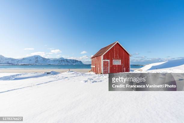 red cabin on the beach in ramberg, lofoten islands, norway. - penisola scandinava foto e immagini stock