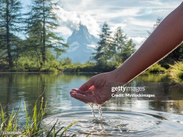 mani che scavano acqua dal lago alpino - purezza foto e immagini stock