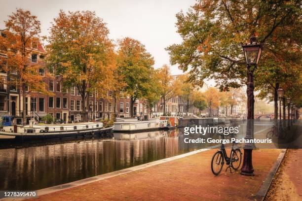 autumn colors in amsterdam, holland - amsterdam stock-fotos und bilder