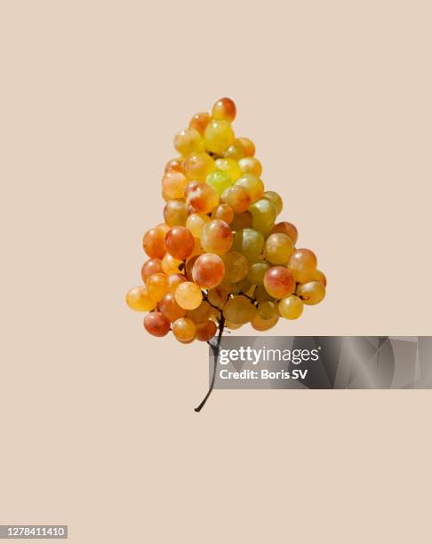 grape balloons - boris grappe photos et images de collection