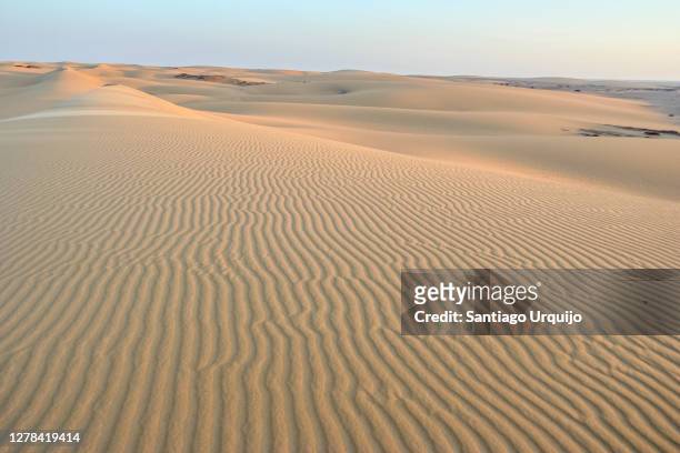sand dune around dakhla oasis - western sahara desert stock pictures, royalty-free photos & images