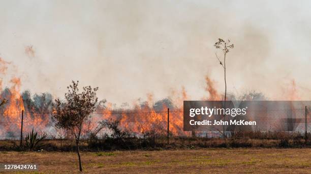 fence fire - veld stock pictures, royalty-free photos & images