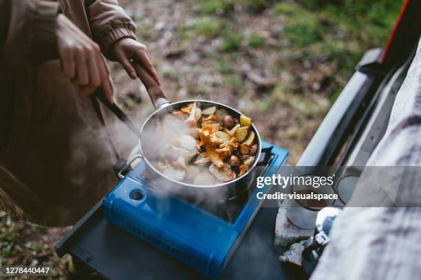 cooking in nature - camping cooking stock pictures, royalty-free photos & images