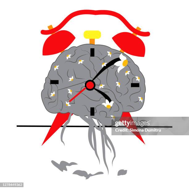 Brain Rot Clock 51 Clock In Brain Stock Photos, High-Res Pictures, and Images - Getty ...