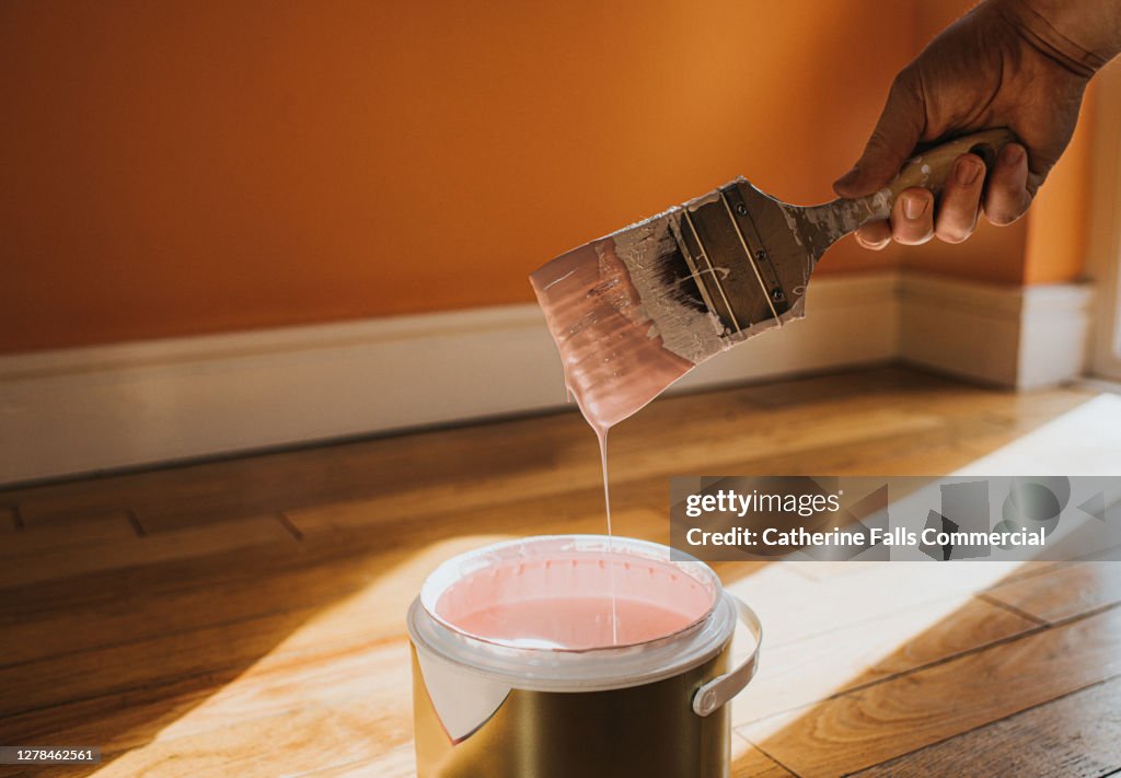 Hand dipping a paint brush into a large tin of pink paint as it drips back into the pot