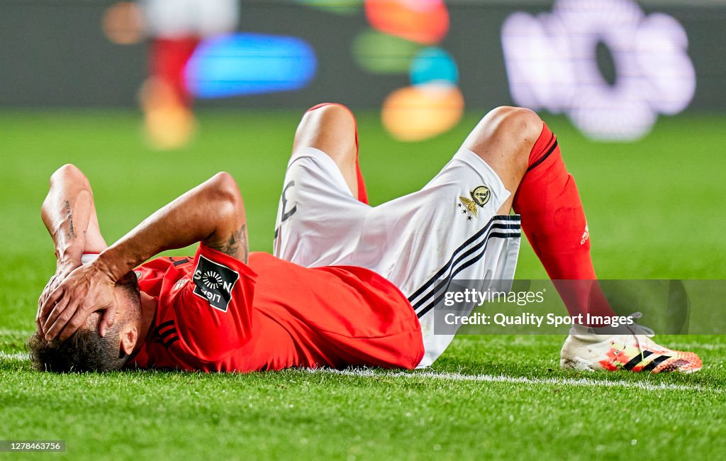 SL Benfica v SC Farense - Liga NOS