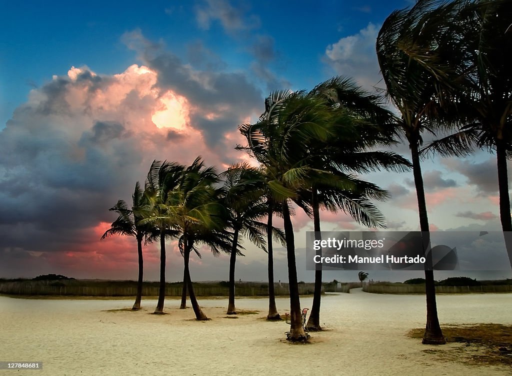 Miami Beach