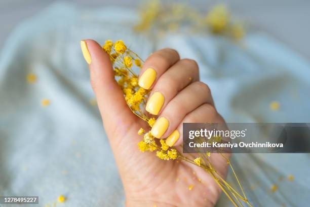 female hand with stylish colorful nails, on bright background - organismo-vivo fotografías e imágenes de stock