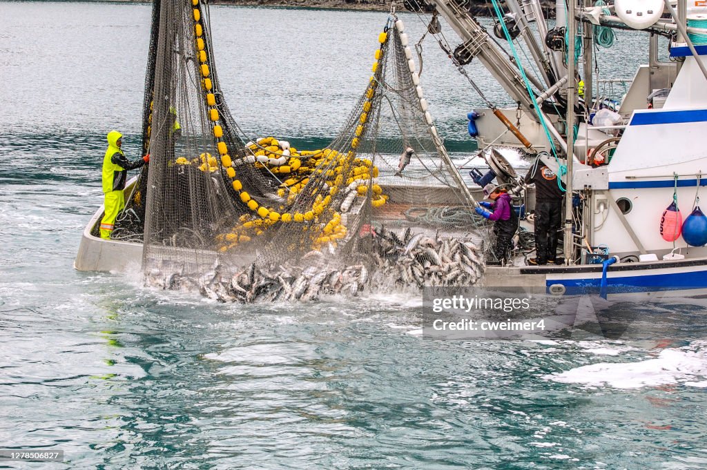 Commercial Fishing In Alaska High-Res Stock Photo - Getty Images