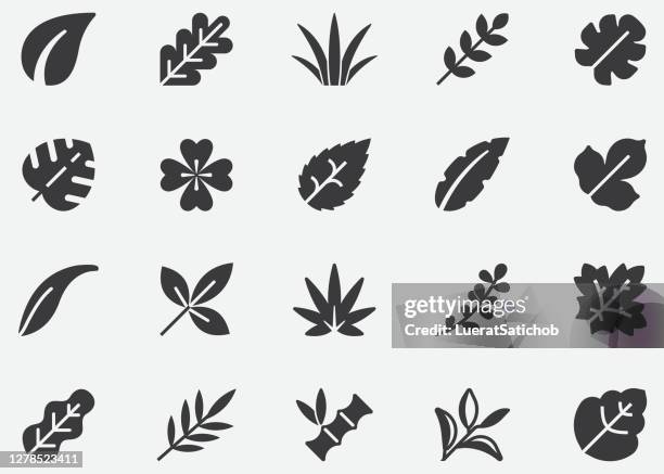 leaf ,natural ,tree ,plant , autumn,pixel perfect icons - marijuana herbal cannabis stock illustrations