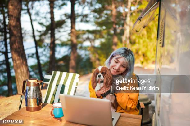 ung flicka med videosamtal på läger med sin hund - labor camp bildbanksfoton och bilder