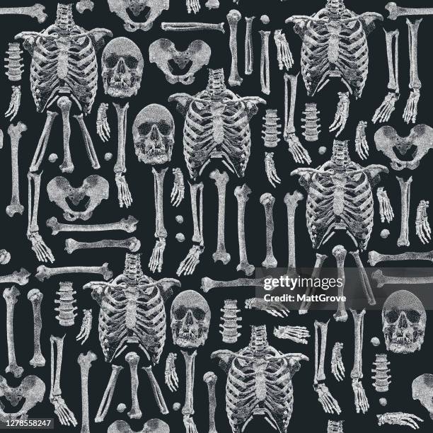 ilustrações, clipart, desenhos animados e ícones de padrão de repetição sem emenda do esqueleto humano - costela osso humano