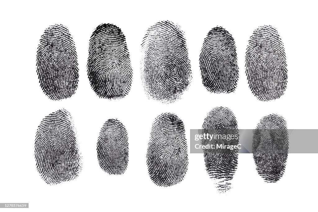 Human Fingerprint Isolated on White