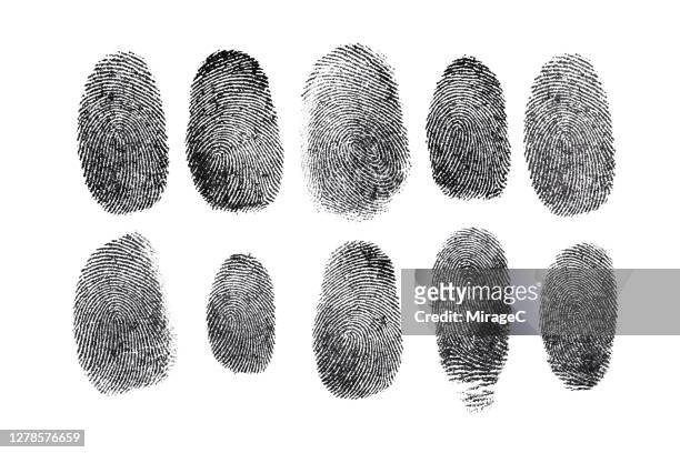human fingerprint isolated on white - rastro fotografías e imágenes de stock