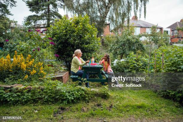 sharing a picnic together - garden table stock pictures, royalty-free photos & images