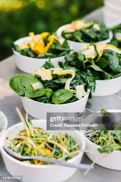 green salads on a dinner table outdoors - grönsallad bildbanksfoton och bilder
