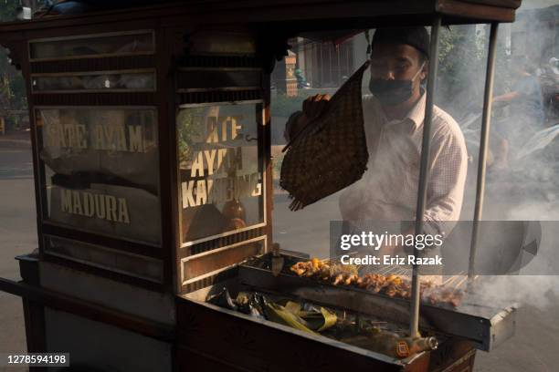 grillen huhn satay - chicken satay stock-fotos und bilder