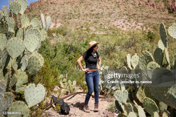 woman hiking mule ears spring trail at big bend national park, standing between cacti - v texas a m stockfoto's en -beelden