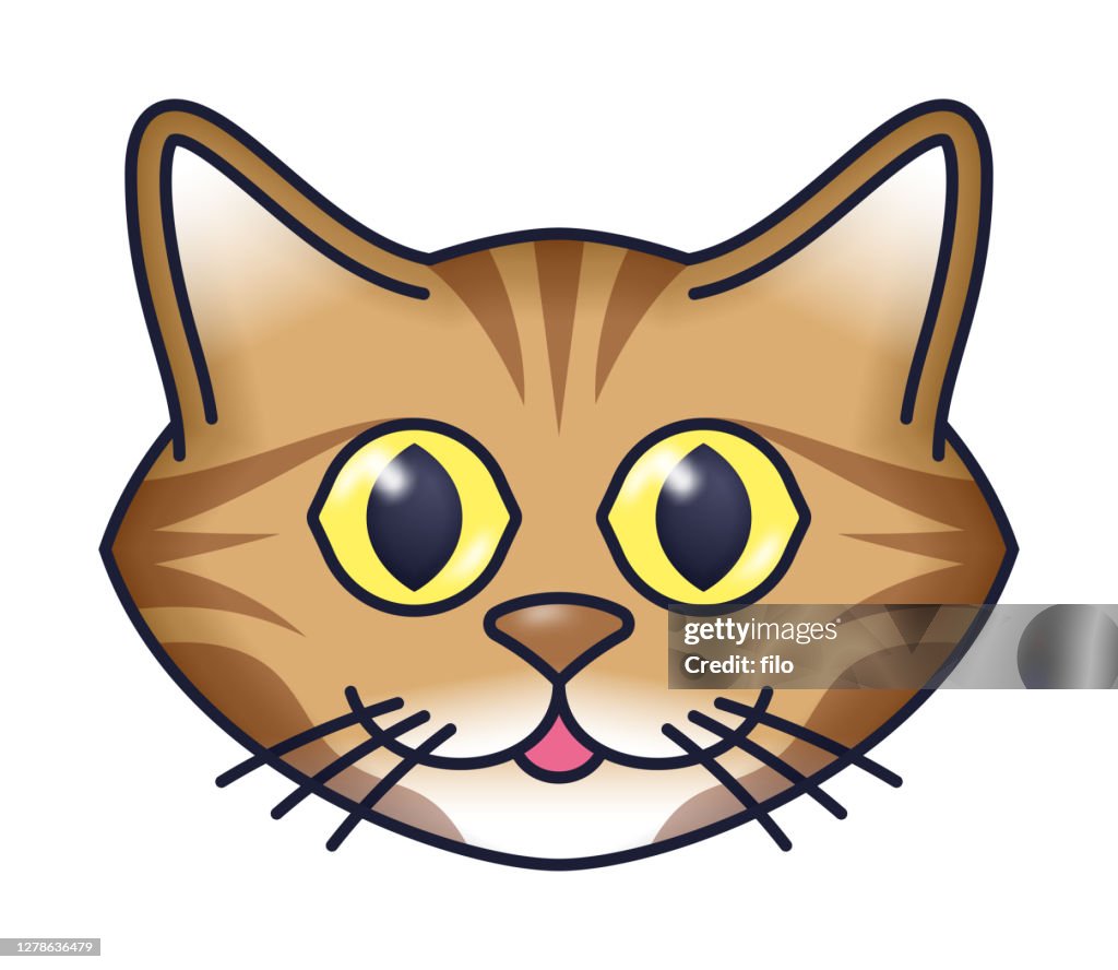 Brown Tabby Cat Face