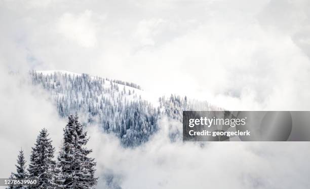 Snow Bound Ridge 77,754 Snow Covered Mountains Stock Photos, High-Res Pictures, and ...