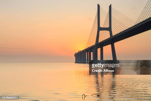 lisbon is an amazing tourist destination because their urban landscapes, by its light, its monuments. the vasco da gama bridge crosses the tagus river, and is one of the longest bridges in the world - bridge fog stock pictures, royalty-free photos & images