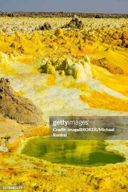 geothermal area with sulphur deposits and acidic brine, dallol, danakil depression, ethiopia - danakil desert stock pictures, royalty-free photos & images