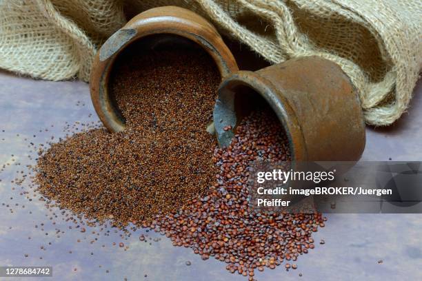 Kaniwa Rice Kaniwa Photos and Premium High Res Pictures - Getty Images