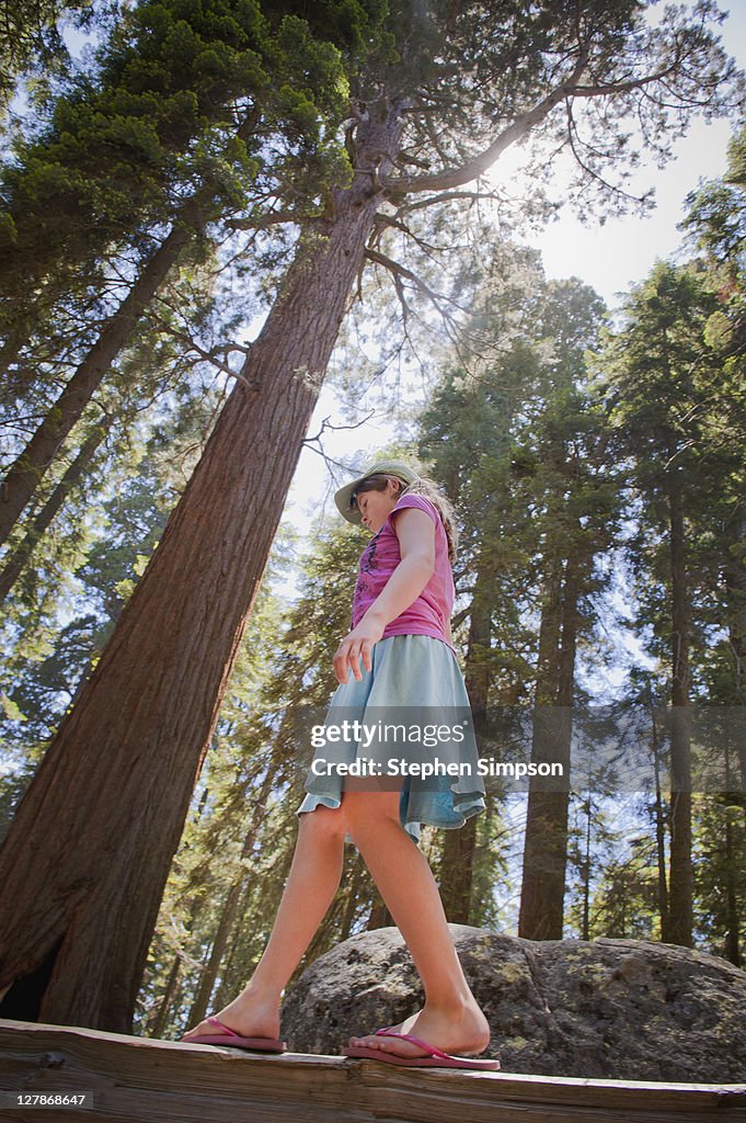 Girl walking on fence beneath giant trees