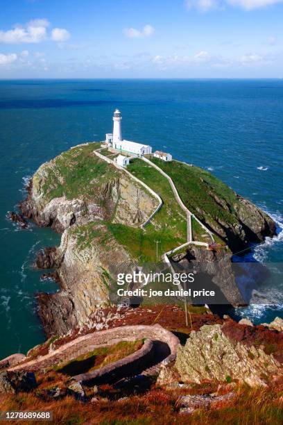 vertical, south stack lighthouse, holyhead, anglesey, wales - anglesey galles foto e immagini stock