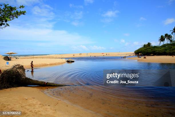 imbassai on the coast of bahia - projeto tamar stock pictures, royalty-free photos & images