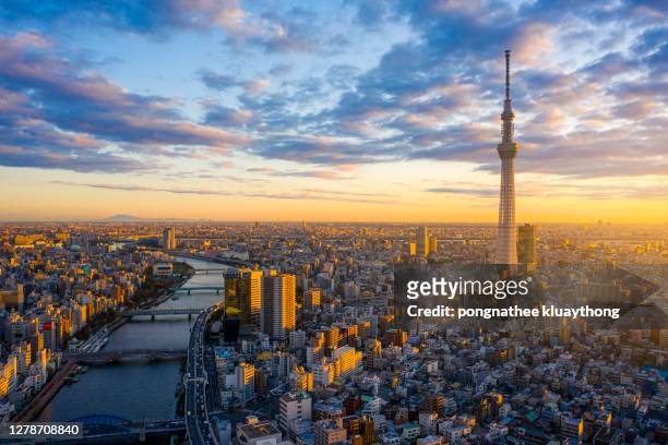 okyo cityscape with tokyo sky tree visible in tokyo city, japan on sunrise. - tokyo japan stock-fotos und bilder