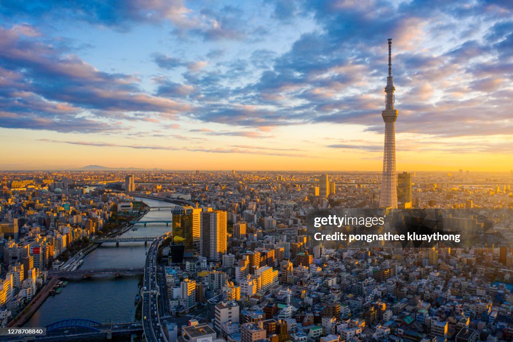 Okyo Cityscape with Tokyo Sky Tree visible in Tokyo city, Japan on sunrise.