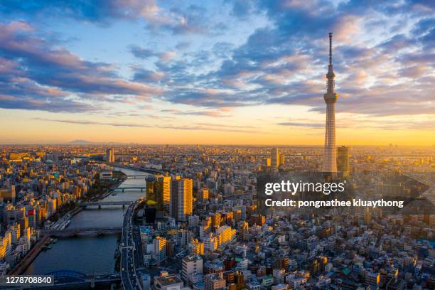 okyo cityscape with tokyo sky tree visible in tokyo city, japan on sunrise. - japan sunrise stockfoto's en -beelden