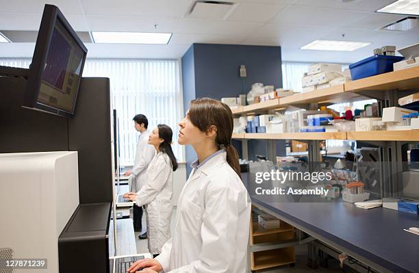 three laboratory technicians work on computers - centro de pesquisa - fotografias e filmes do acervo