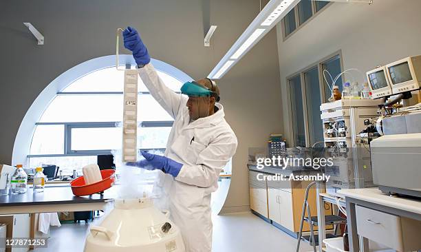 lab technician pulls samples from liquid nitrogen - nitro stock-fotos und bilder